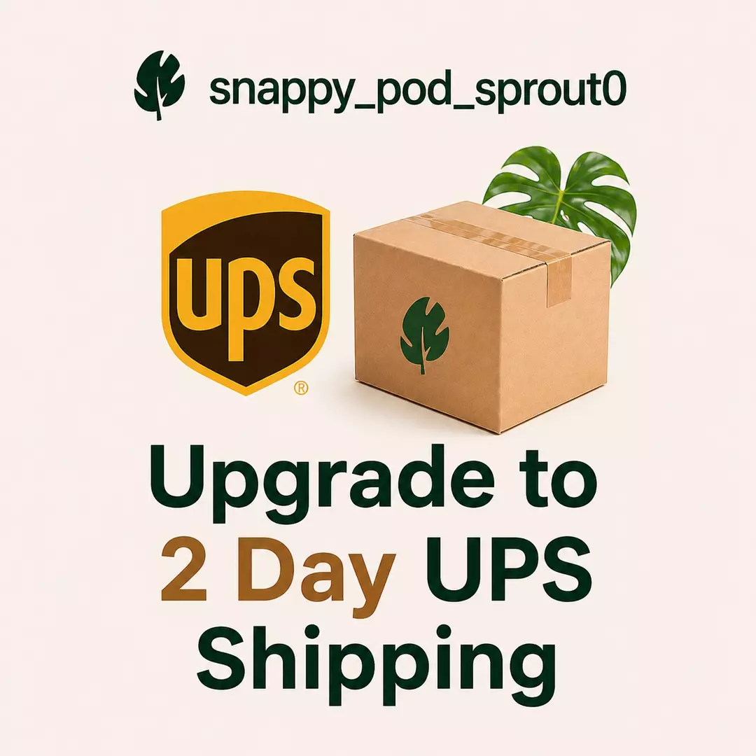 2 Day UPS Upgrade thumbnail
