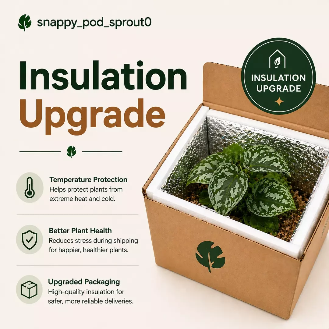 Insulation Upgrade thumbnail