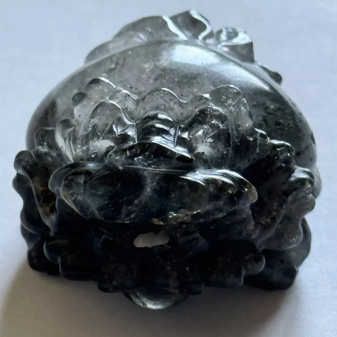 Dragon Turtle 🐢 Garden Quartz #3 thumbnail