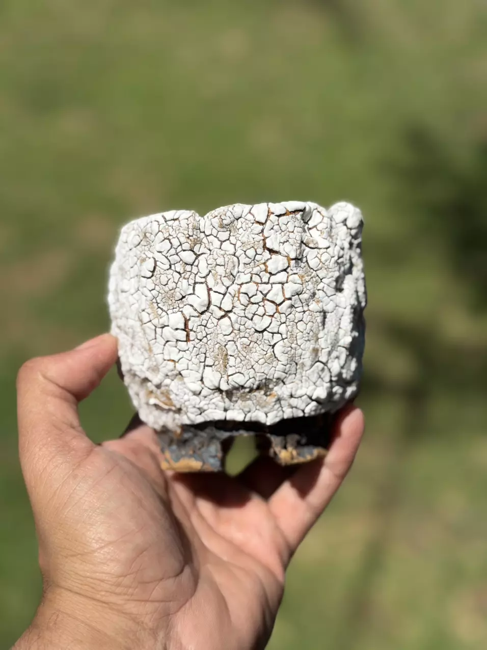 Coconut footed 3.5x3.75H thumbnail