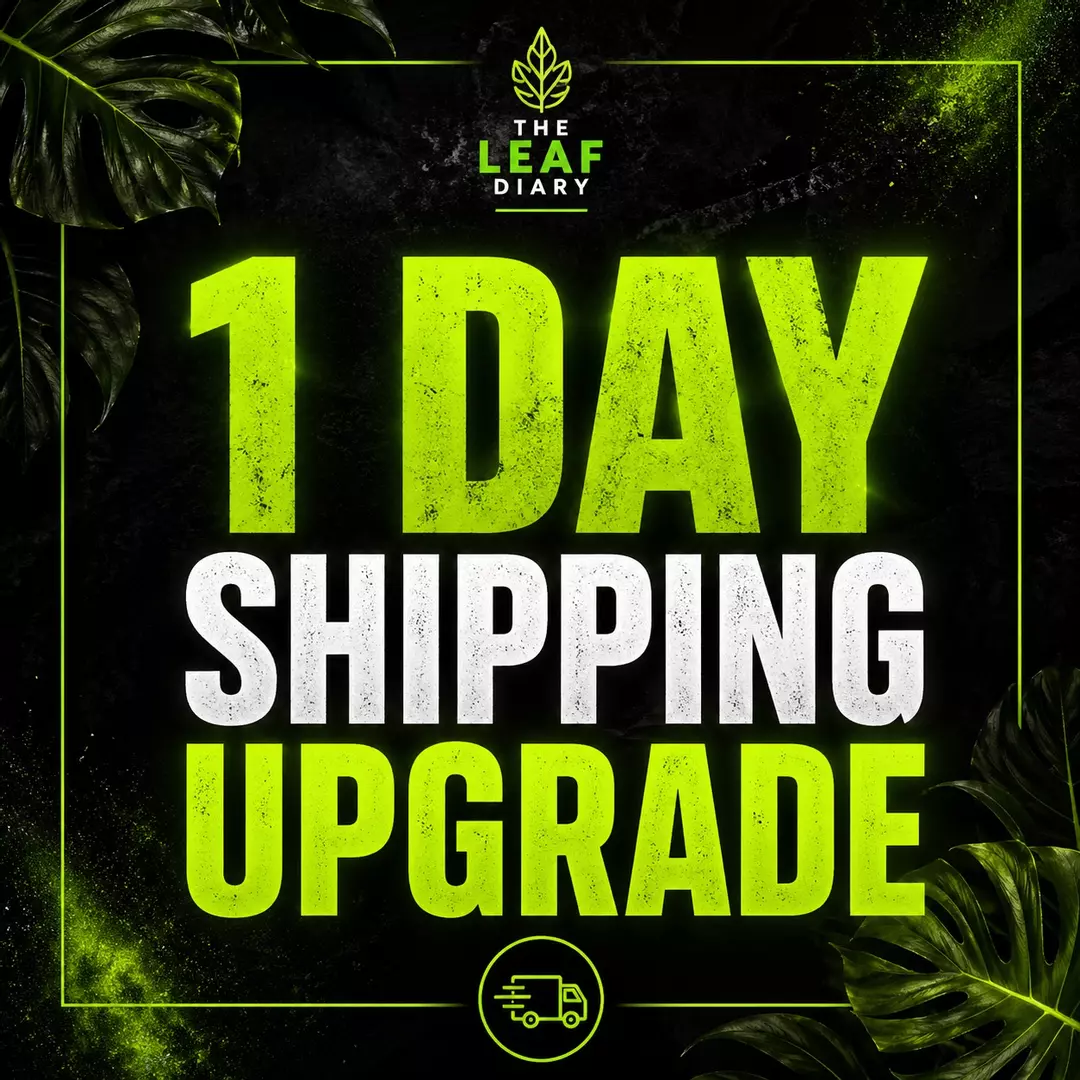 1 DAY SHIPPING UPGRADE (STARTING PRICE) thumbnail