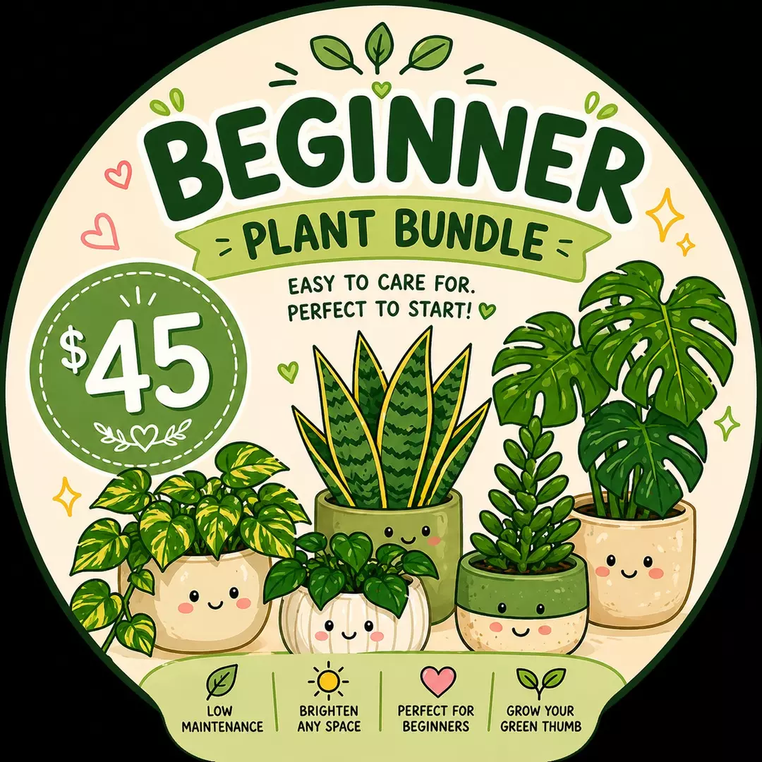 Beginner Bundle 🌱 thumbnail