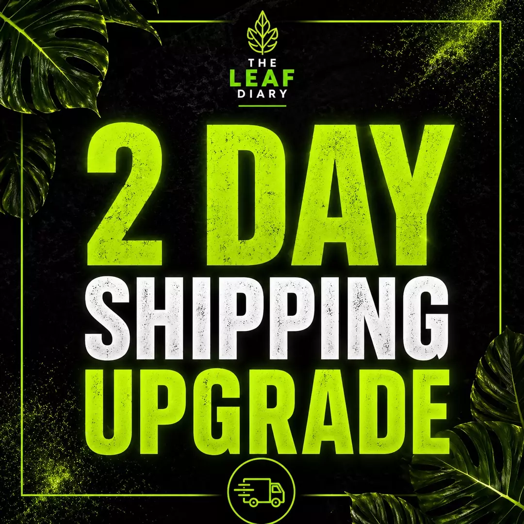 2 DAY SHIPPING UPGRADE (STARTING PRICE) thumbnail