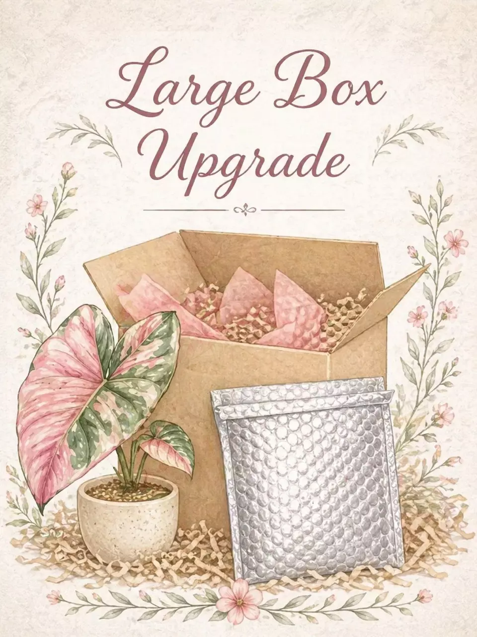 Large Box Upgrade thumbnail