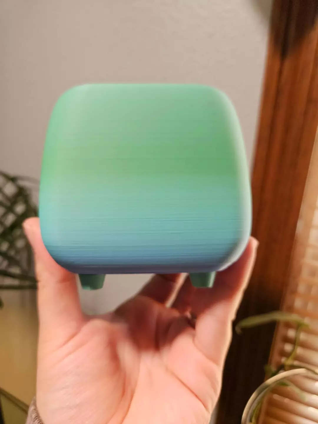 Rainbow 3" cache pot thumbnail