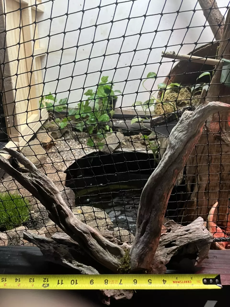 Oak driftwood insert thumbnail