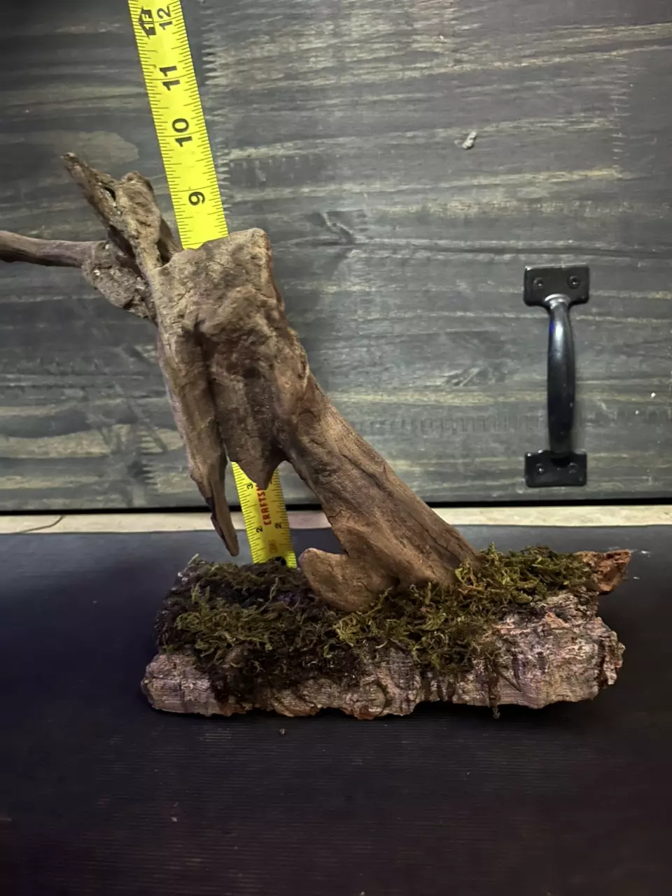 Oak drift wood on cork bark thumbnail