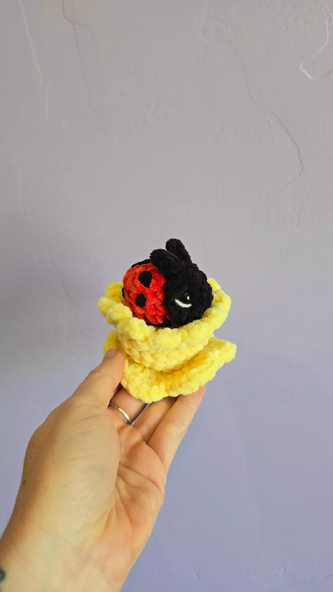 Ladybug Daffodil Fidget Pop thumbnail
