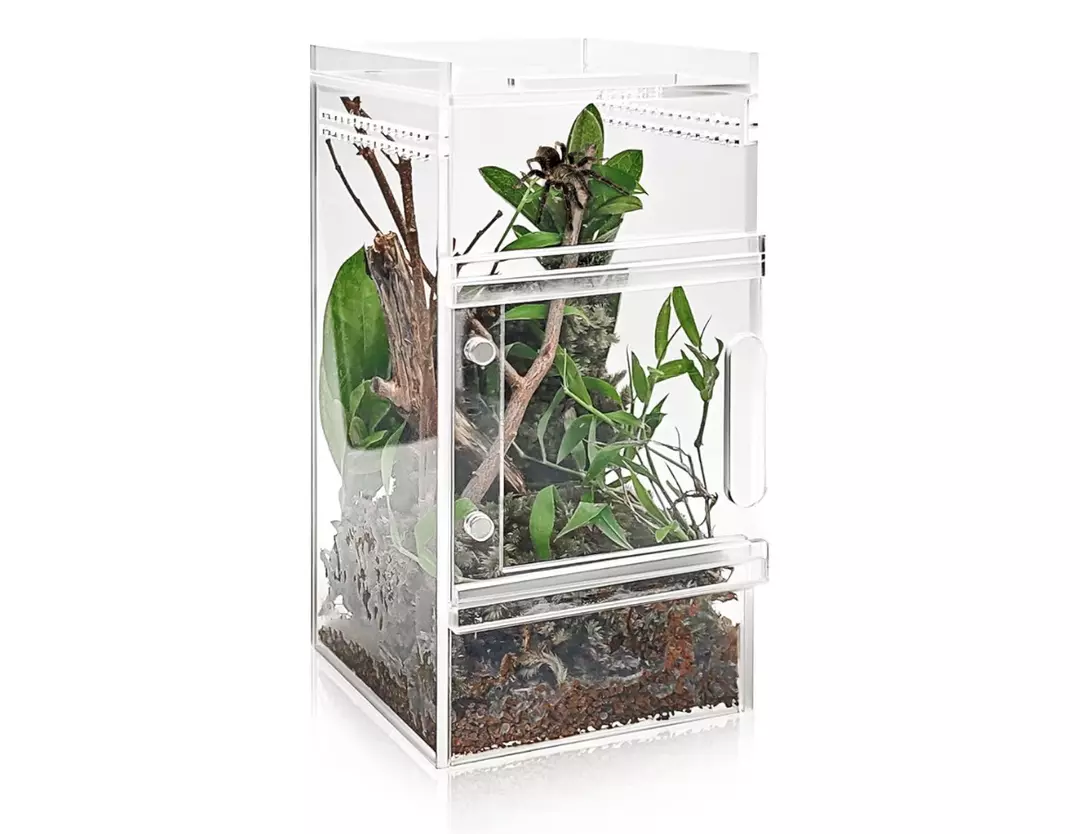 Rectangle small enclosure thumbnail