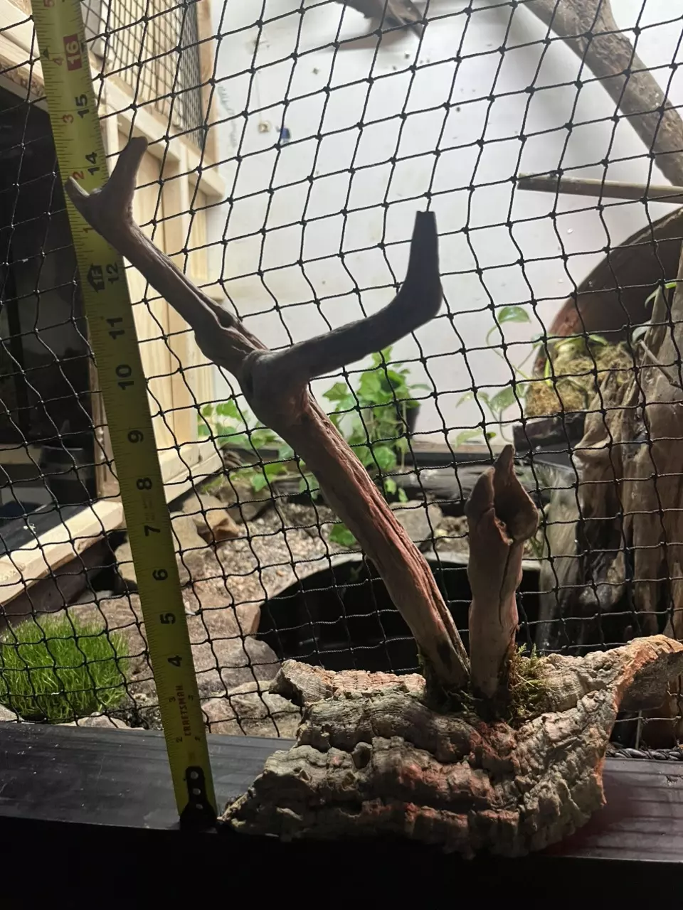 Drift wood on cork flat thumbnail