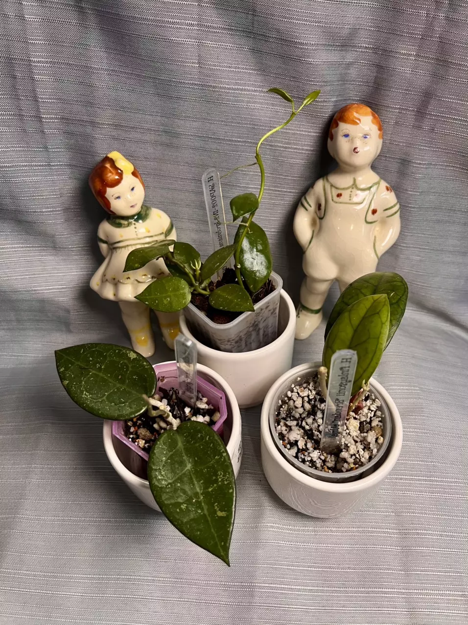 👧👦 “The Three, Kept Separate” 🌿🕯️ thumbnail