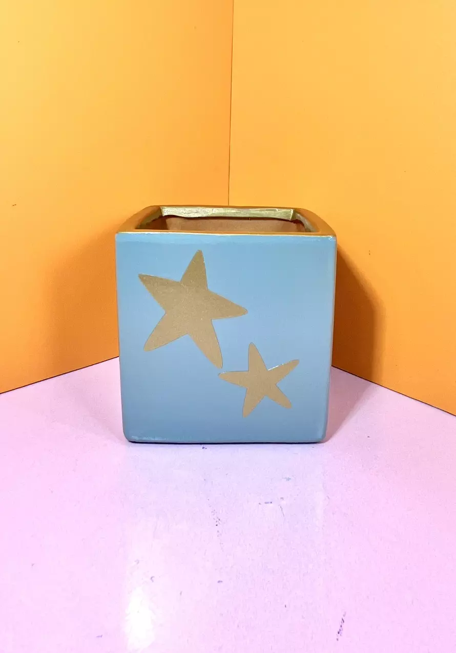 Hand Painted Vinyl Decal Pot - 4 in. | Space Dust thumbnail