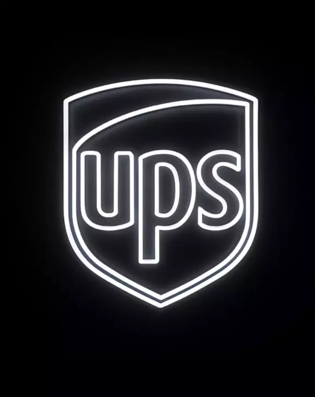 Overnight UPS Shipping Upgrade thumbnail