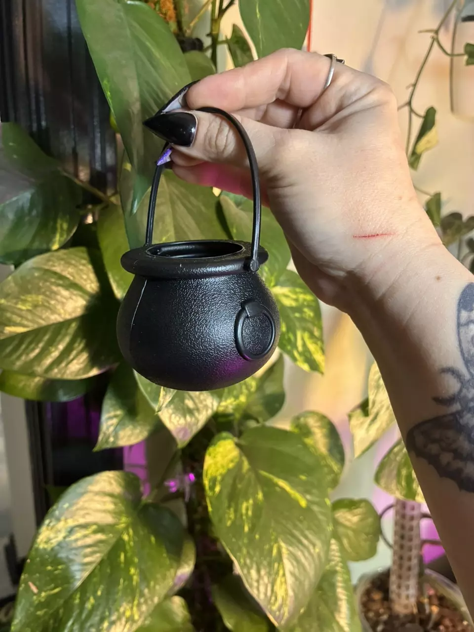 Cauldron planter 1” opening (add on with open box) thumbnail