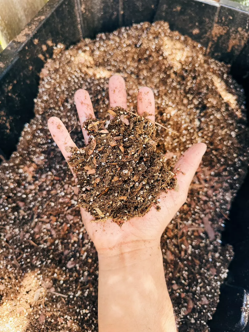 Acidic Carnivorous Plant Soil Mix thumbnail