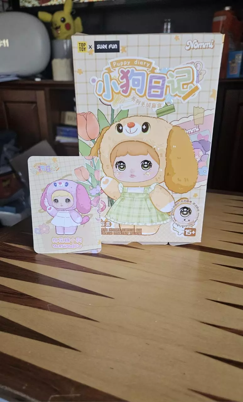 Nommi Puppy Diary blind box thumbnail