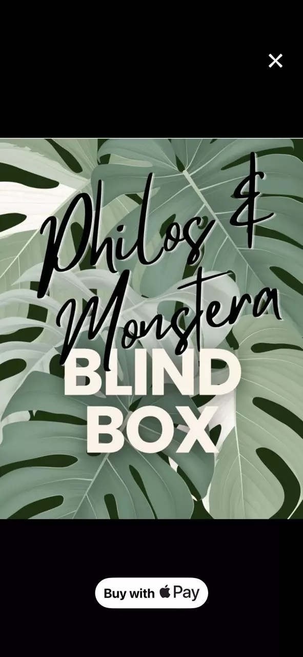 5 PLANT MYSTERY BOX 5 starters! thumbnail