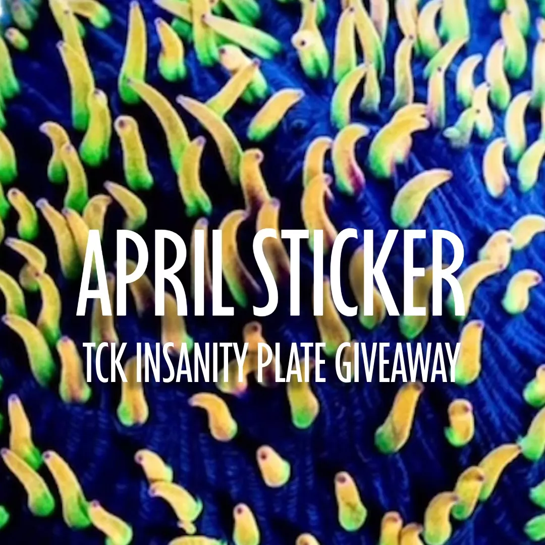 APRIL STICKER 4/12 TCK INSANITY PLATE GIVEAWAY thumbnail