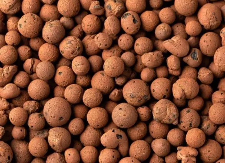 LECA (Lightweight Expanded Clay Aggregate) - one gallon bag (BIOACTIVE SERIES) thumbnail