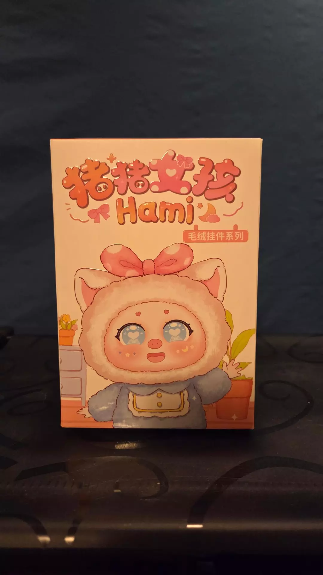 Hami Pig Girl Blind Box thumbnail