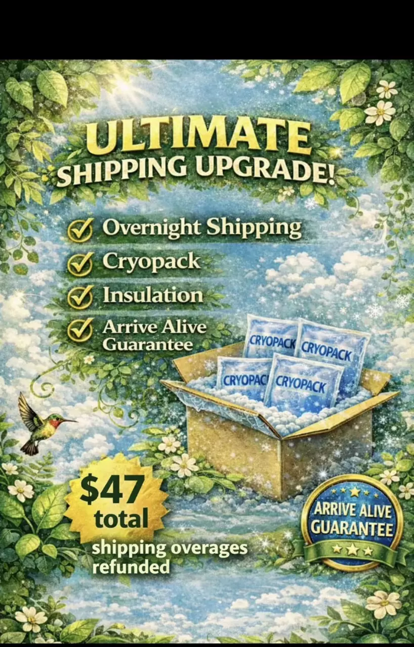 Ultimate Shipping Upgrade • $47 total thumbnail