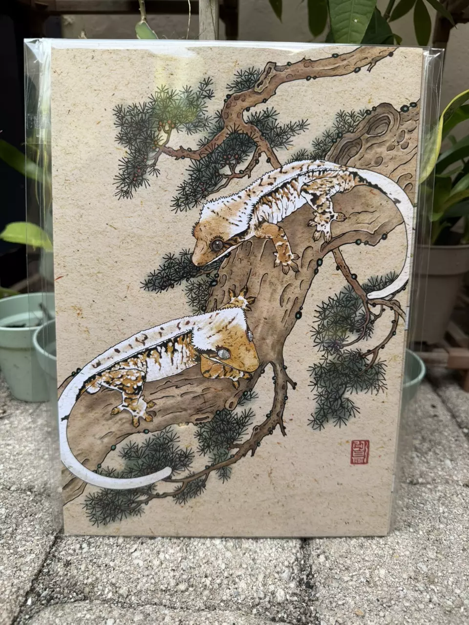 Tricolor Print 8.5” x 11.5” thumbnail