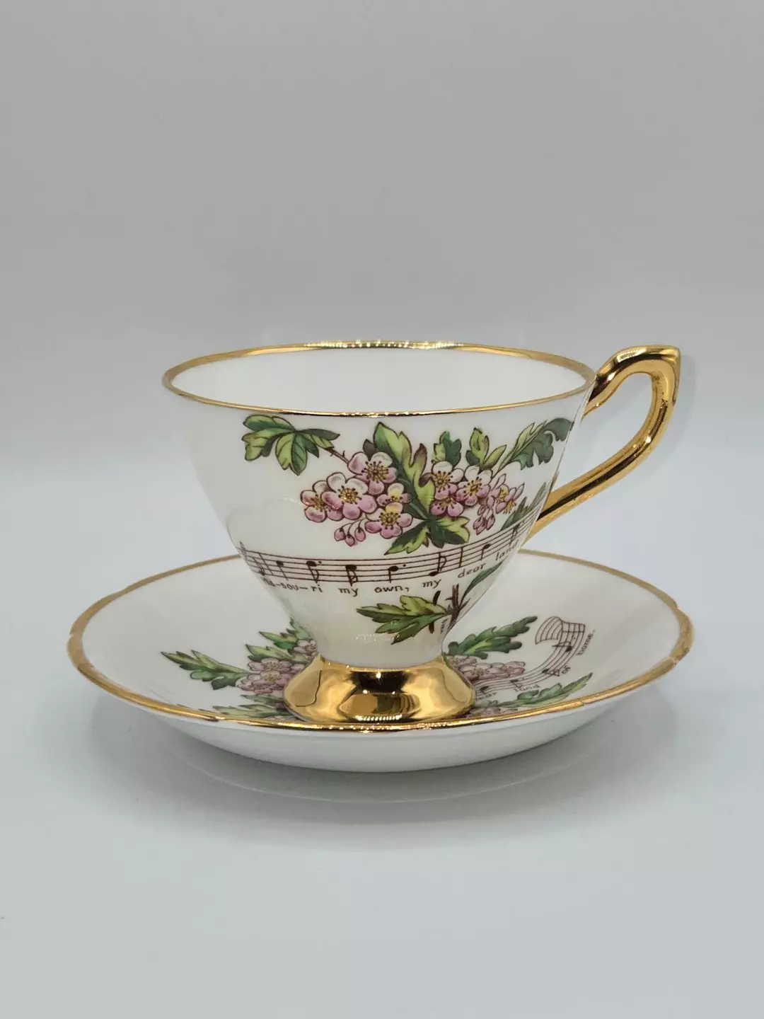 Royal Ardalt Hawthorn Missouri Teacup and Saucer Bone China State Flower England thumbnail