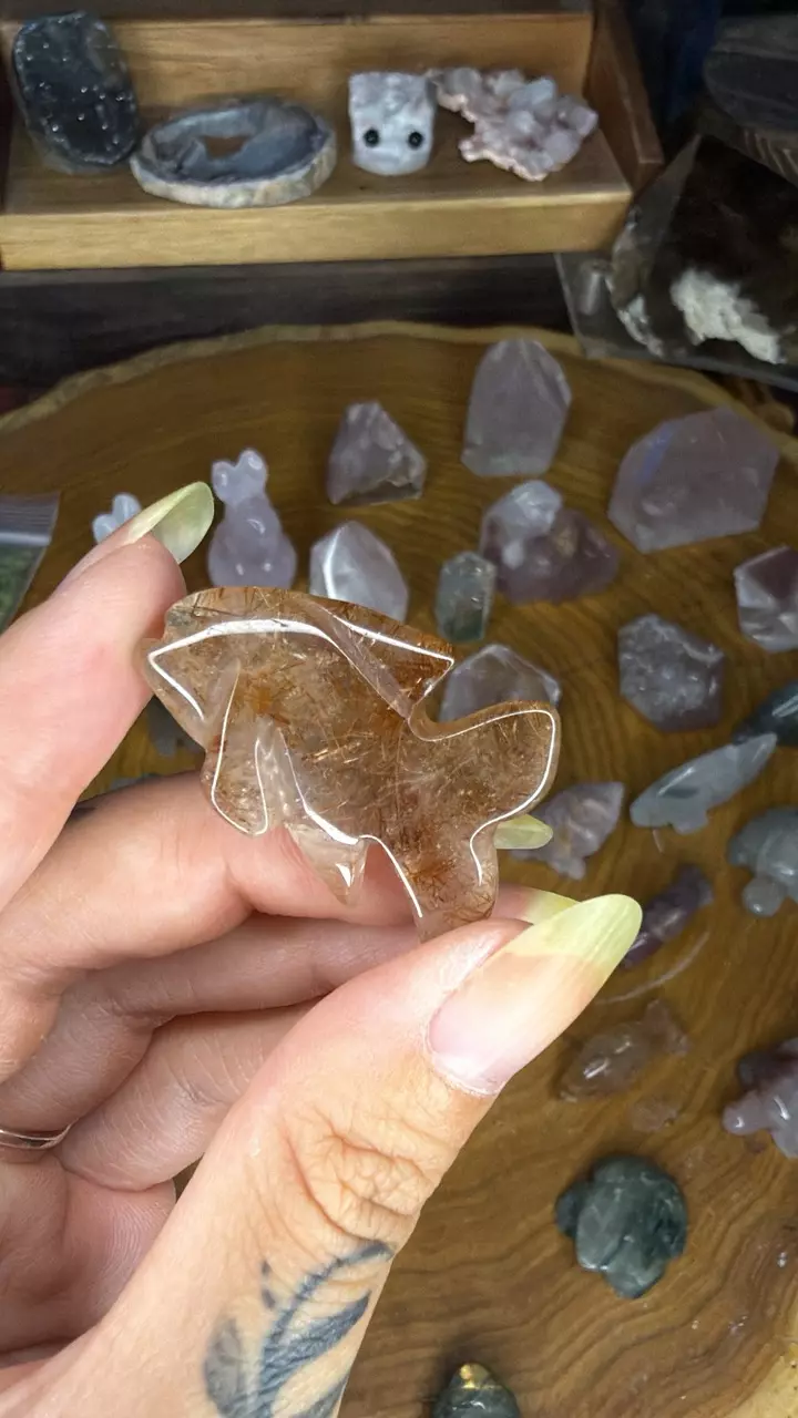 Rutile fish 45f thumbnail