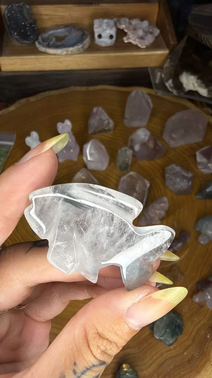 Blue Tara fish 42 thumbnail