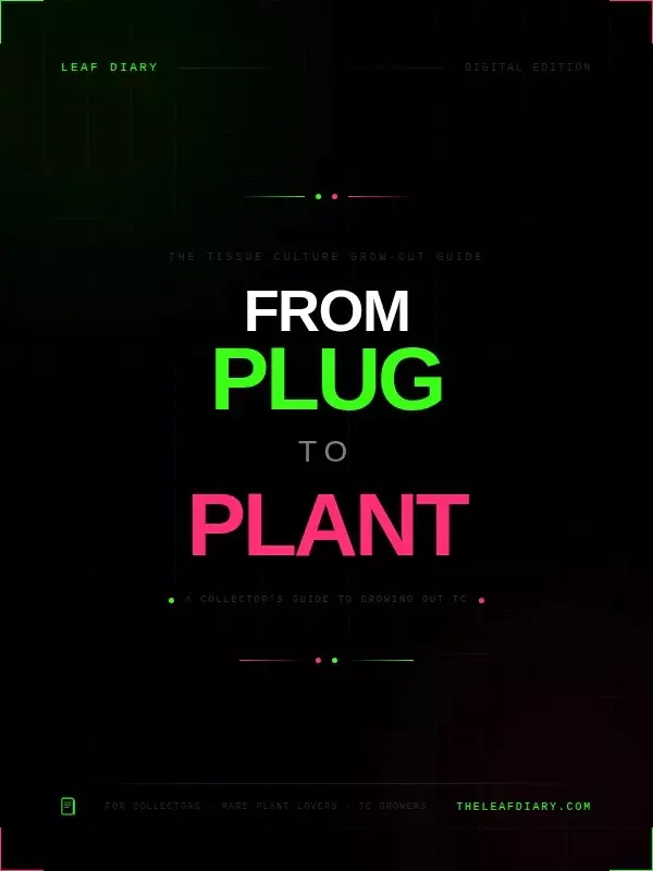 From Plug to Plant — TC Grow-Out Guide thumbnail