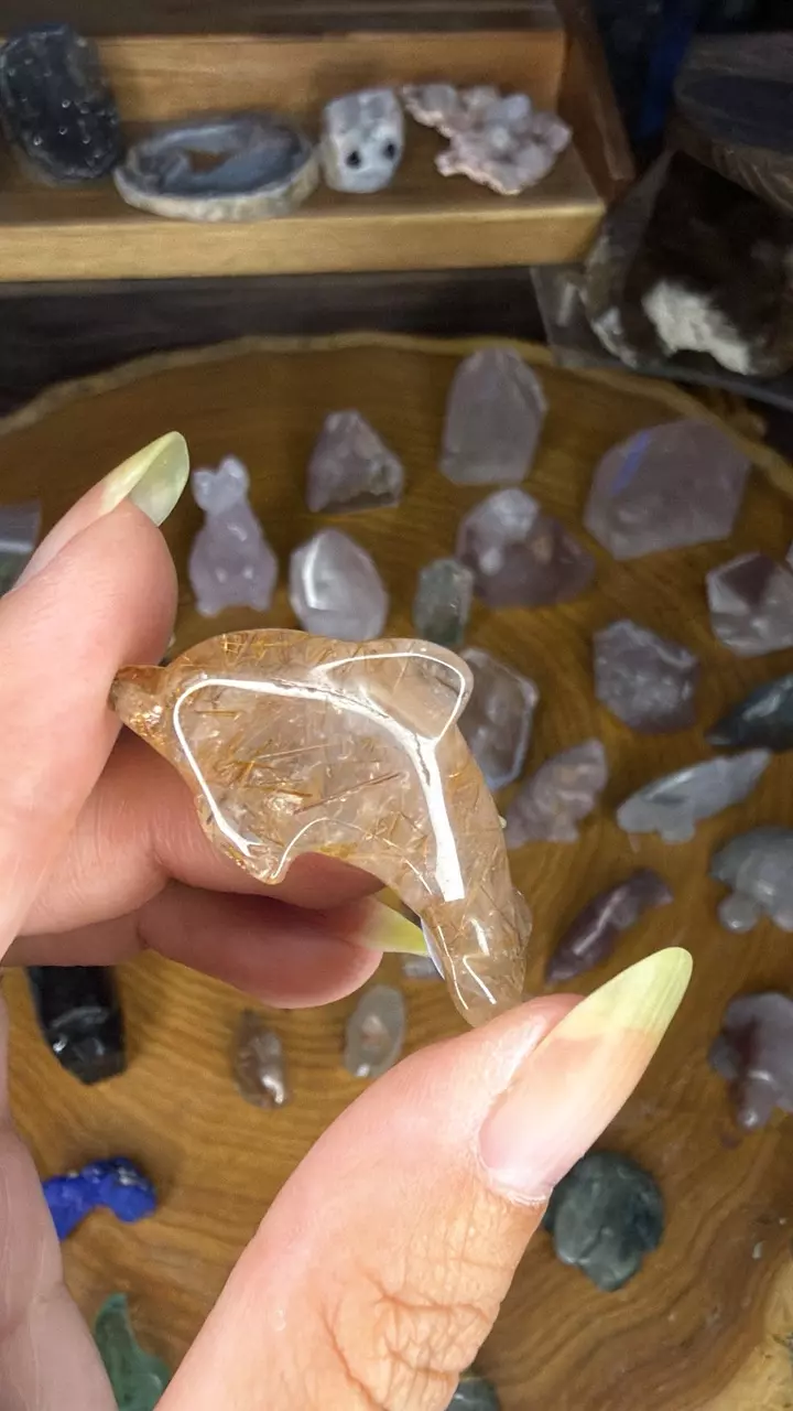 Rutile dolphin 45d thumbnail