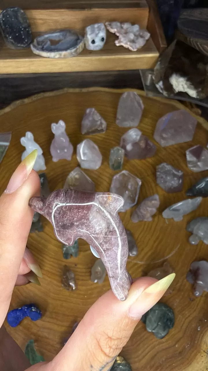 Pink lithium dolphin 60d thumbnail