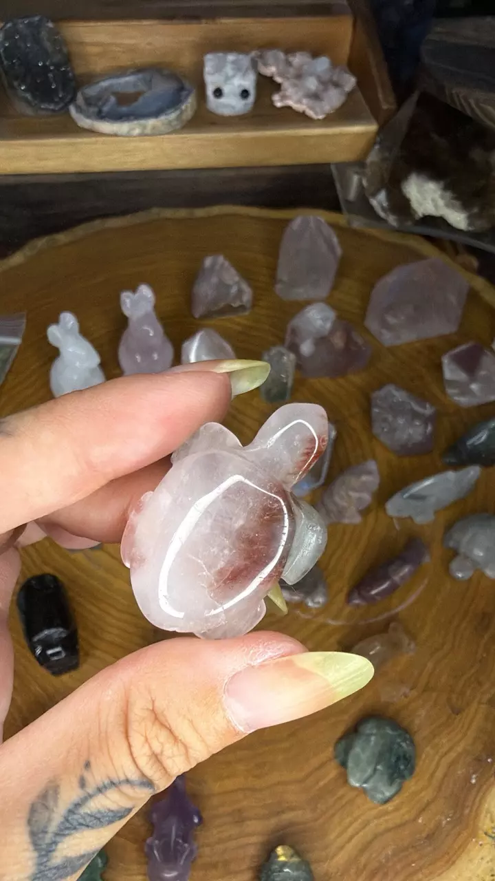 Amphibole turtle 33a thumbnail