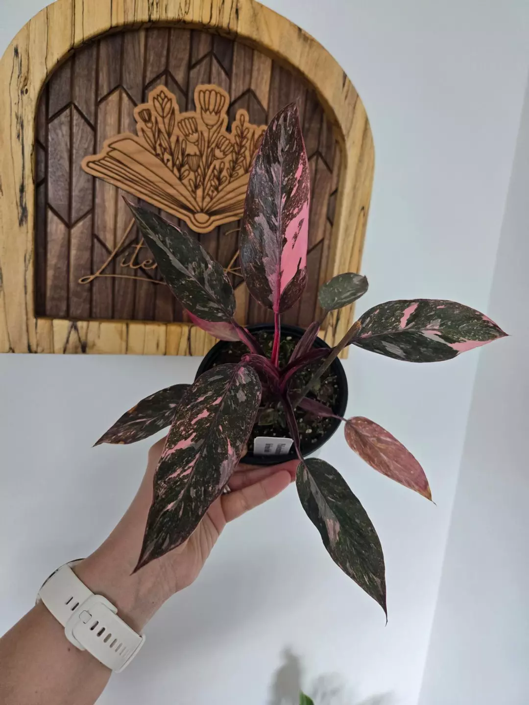 Pink Princess Marble Galaxy thumbnail