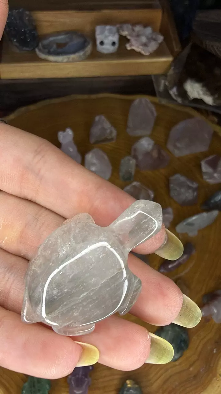 Blue Tara turtle 42t thumbnail