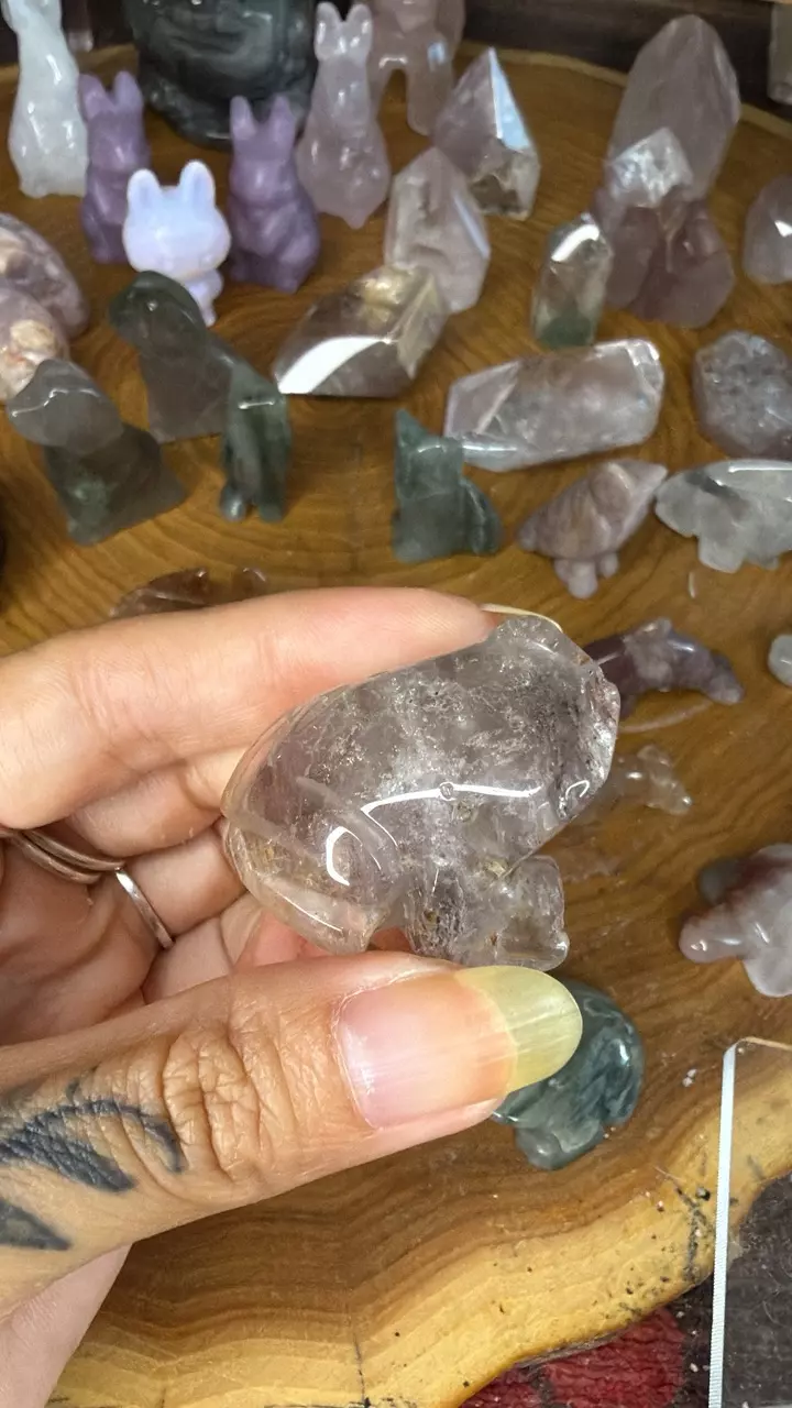 Pink lithium frog 60o thumbnail