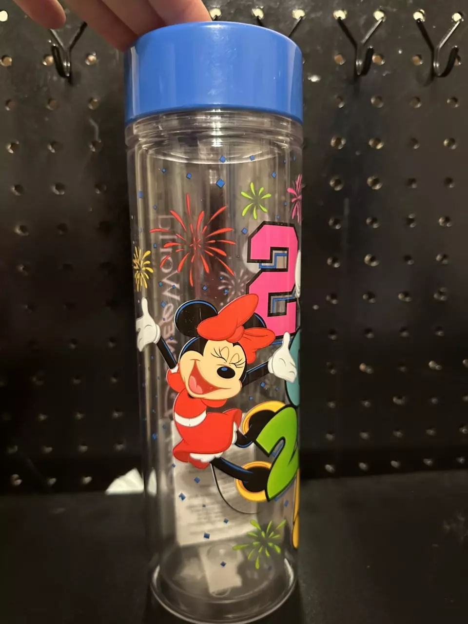WDW Parks 2025 Water Bottle thumbnail
