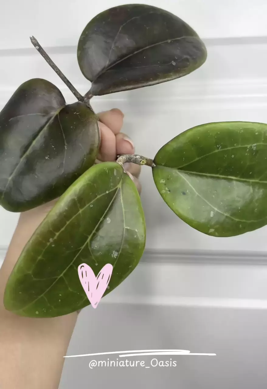 Red velvet cake 🦄 thumbnail