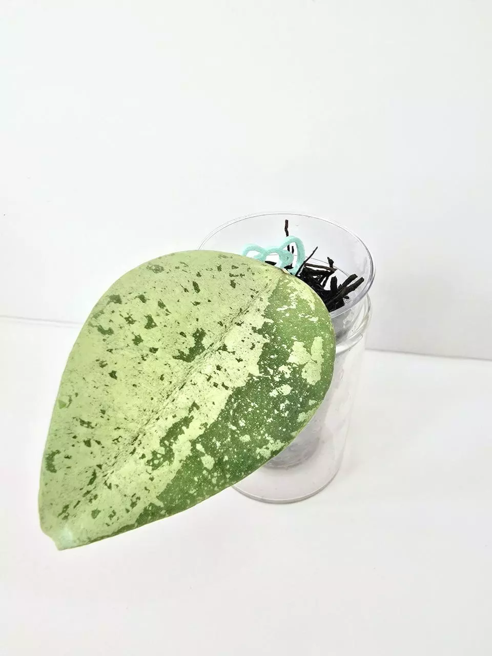 Hoya EX-01 Silver thumbnail