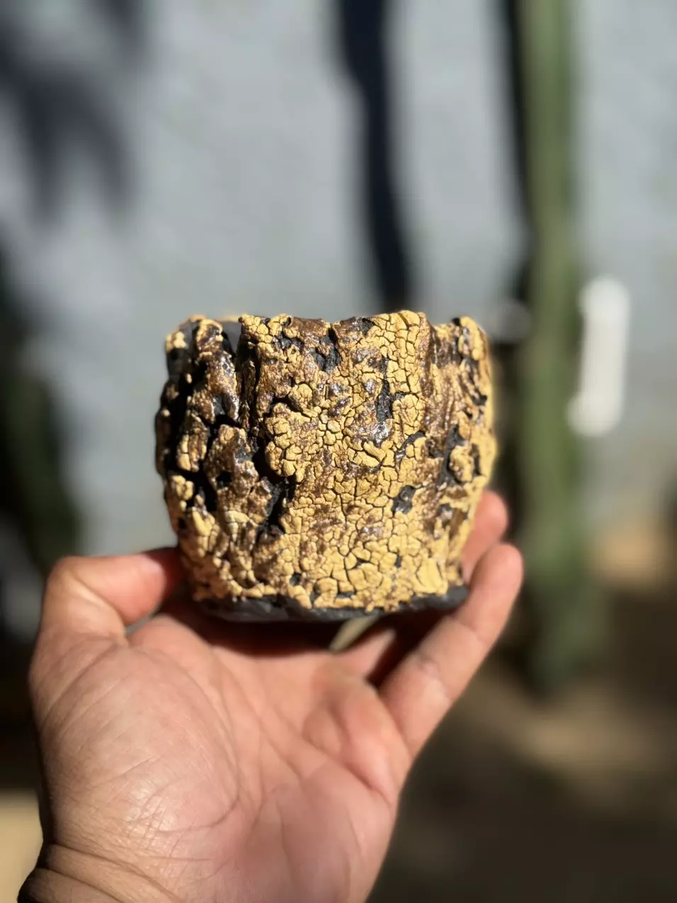 Golden barrel 3.5x3H thumbnail