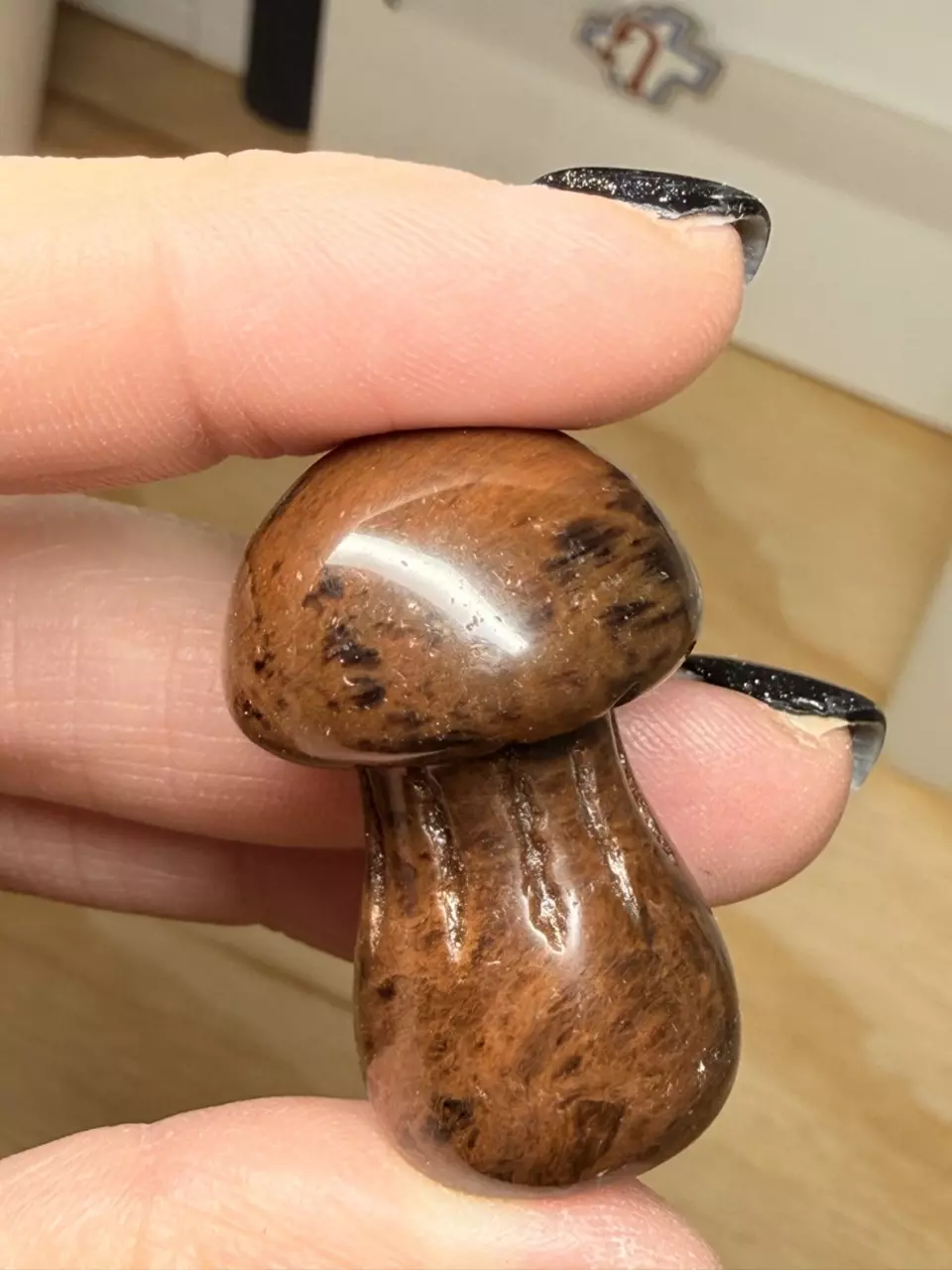 MAHOGANY OBSIDIAN MUSHROOM 058 thumbnail