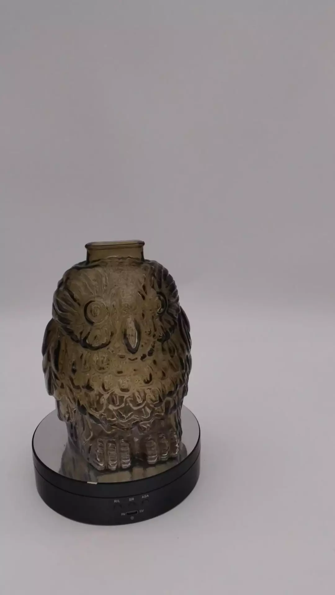 Wise Old Owl Bank Smoked Glass thumbnail