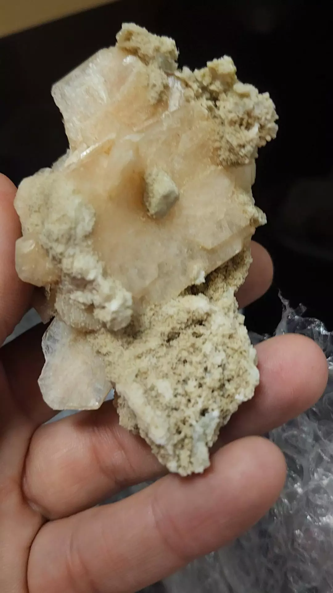 Stillbite unique form thumbnail