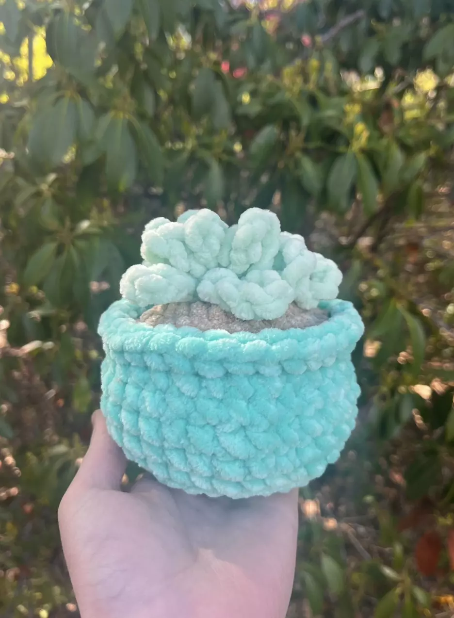 ✨Crochet Aqua Small Potted Plant✨ thumbnail