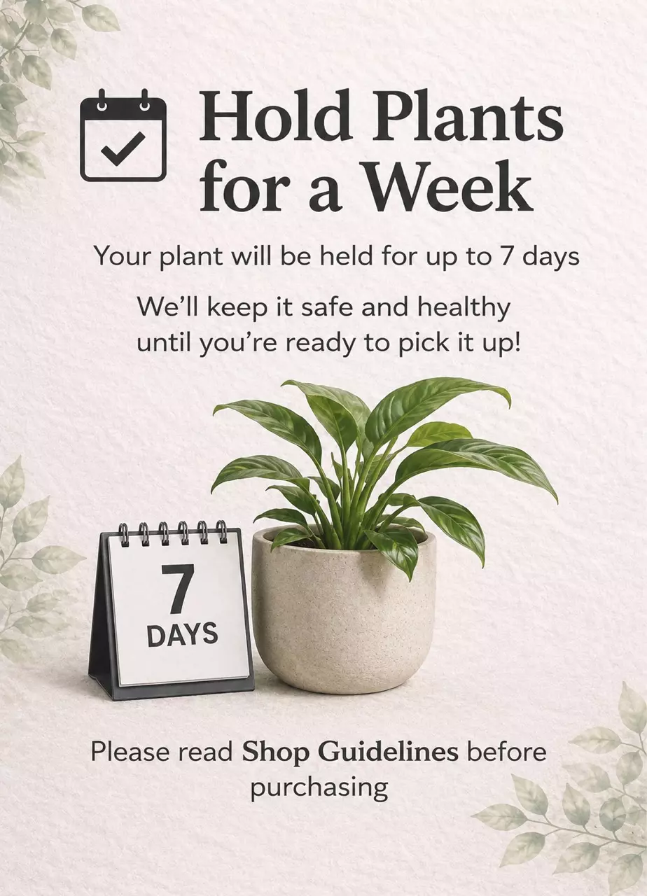 Plant hold thumbnail
