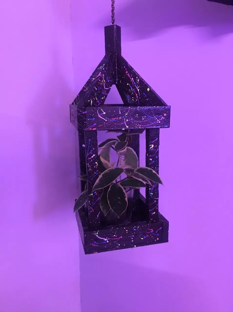 Hoya carnosa Krimson Queen splash w/ sturdy wood splatter painted plant hanger thumbnail
