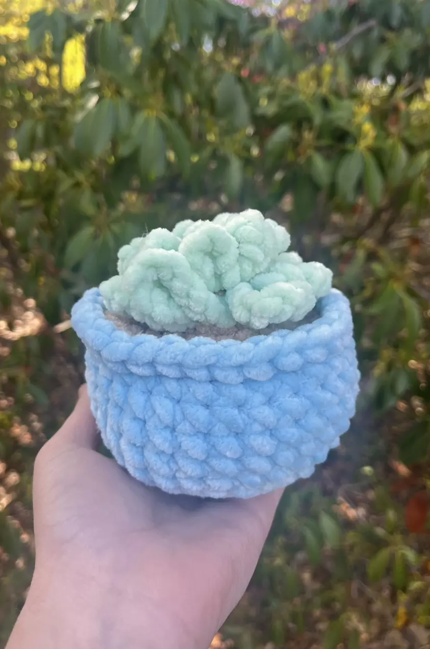 ✨Crochet Light Blue Small Potted Plant✨ thumbnail