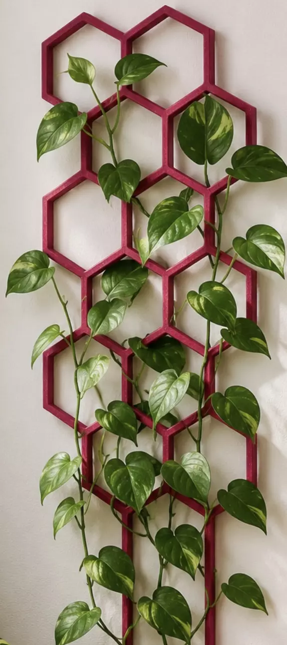 Honeycomb Trellis PINK 6” Made in USA 🇺🇸 thumbnail