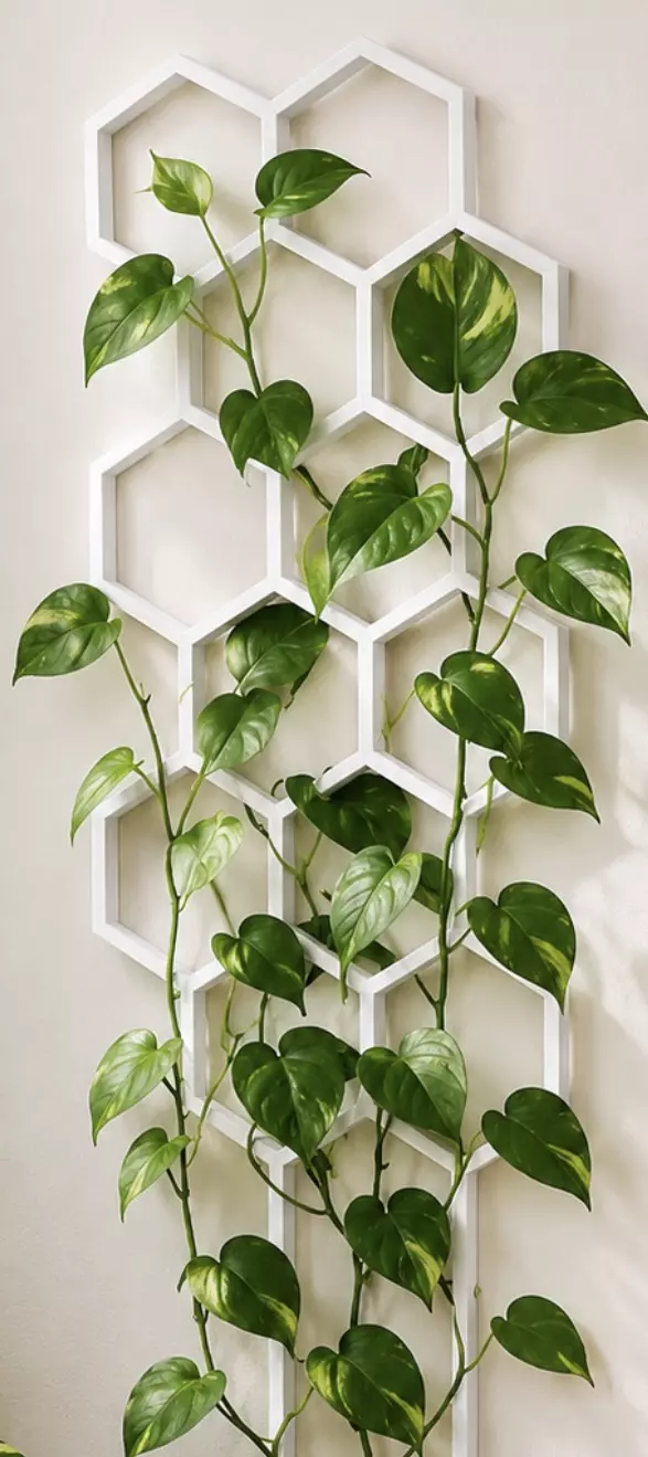 Honeycomb Trellis WHITE 6” Made in The USA 🇺🇸 thumbnail