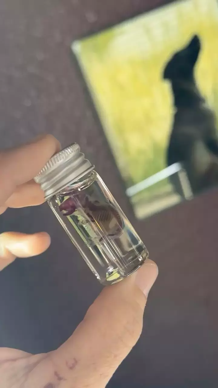 Ethically Sourced Diaphonized Pinky Mouse thumbnail